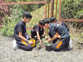 world environment day 2025