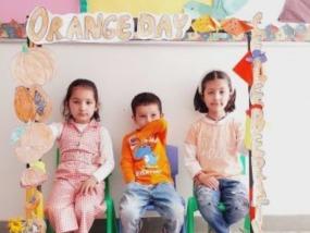 Orange Day 2024-2025