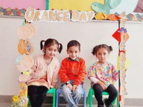 Orange Day 2024-2025