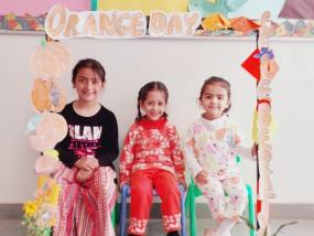 Orange Day 2024-2025