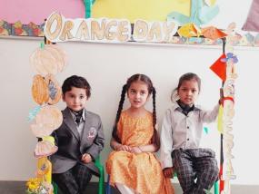 Orange Day 2024-2025