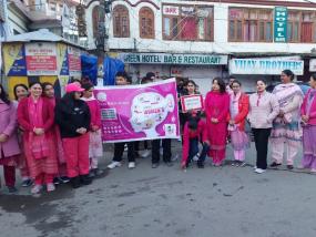 Pink Walk(2024-25)