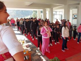Pink Walk(2024-25)