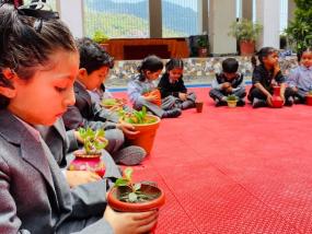 Earth Day(2024-25)