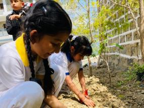 Earth Day(2024-25)