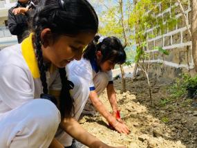 Earth Day(2024-25)