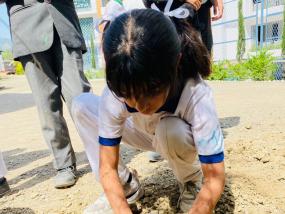 Earth Day(2024-25)