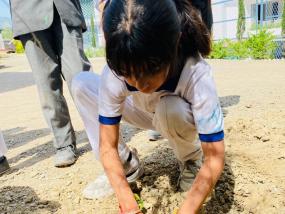 Earth Day(2024-25)