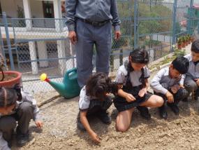 Evvironment Day(2024-25)